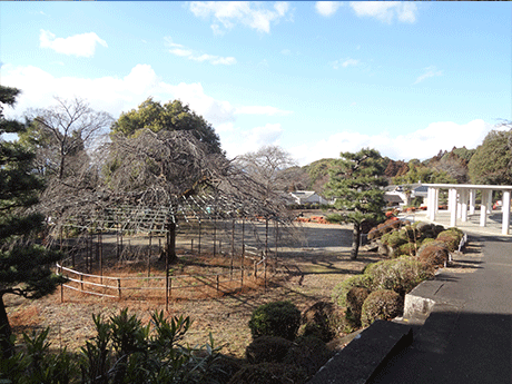 京都市深草墓園　風景