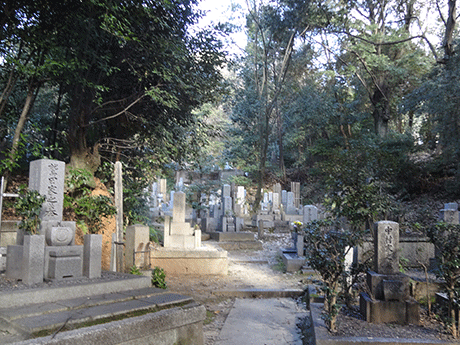 京都市営宝塔寺山墓地3